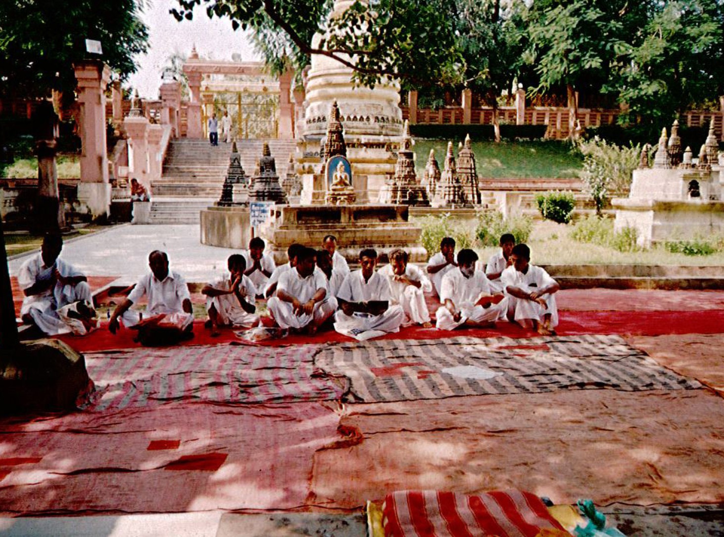 India Tour 2011